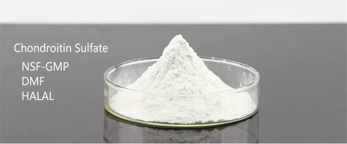 China best Chondroitin Sulfaatcalcium op verkoop