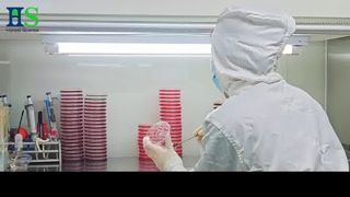 ELASEM® Eggshell-membraanserie: de grondstofoplossing voor gewrichtsgezondheid en schoonheid