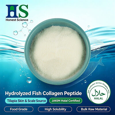 JAKIM Halal Certified Tilapia Skin & Scale Collagen Peptide Powder | Raw Material Manufacturer of Hydrolyzed Marine Collagen